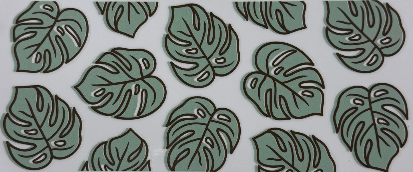 Monstera Leaves