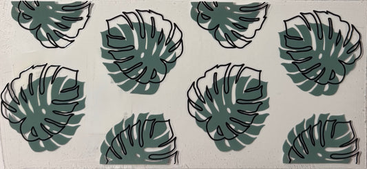 Monstera