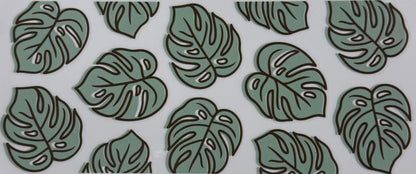 Monstera Leaves
