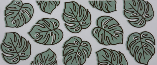 Monstera Leaves